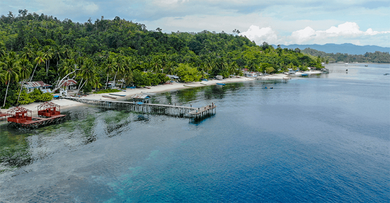 Build Concern of the Raja Ampat Community to Conserve Mangrove Forests