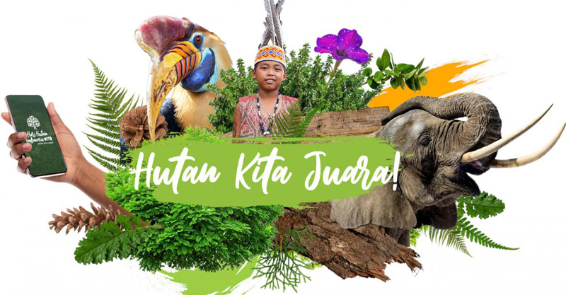 Membentuk Generasi Umat yang Cinta Alam di Tanah Papua, Guru Sekolah Minggu  Ikuti Pelatihan Perlindungan Hutan - EcoNusa