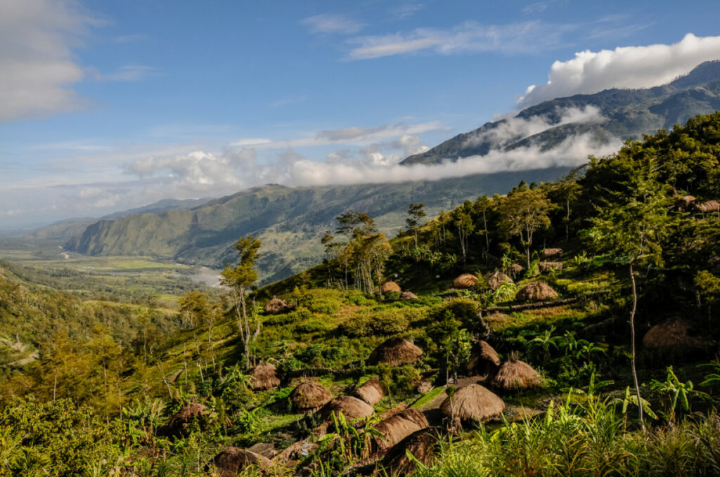 5 Taman Nasional di Papua & Maluku yang Wajib Kamu Tahu! - EcoNusa