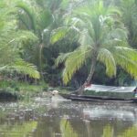 Ekowisata Dusun Sagu Kais
